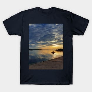 Embankment of the Dnipro River T-Shirt